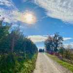 Eine Wandergruppe läuft auf dem Blütenweg im Herbst. Rechts und links des Weges stehen Bäume. Rechts ist der See und der grün bewaldete Bodanrück zu sehen.