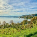 Blick vom SeeGang auf Ludwigshafen und den See im Herbst. Man sieht das Zollhaus und die grün bewaldeten Bergrücken.