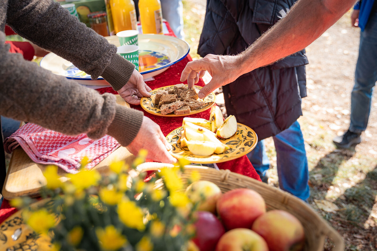 DSC08874 Stand mit regionalen Produkten beim Genusswandern auf dem SeeGang