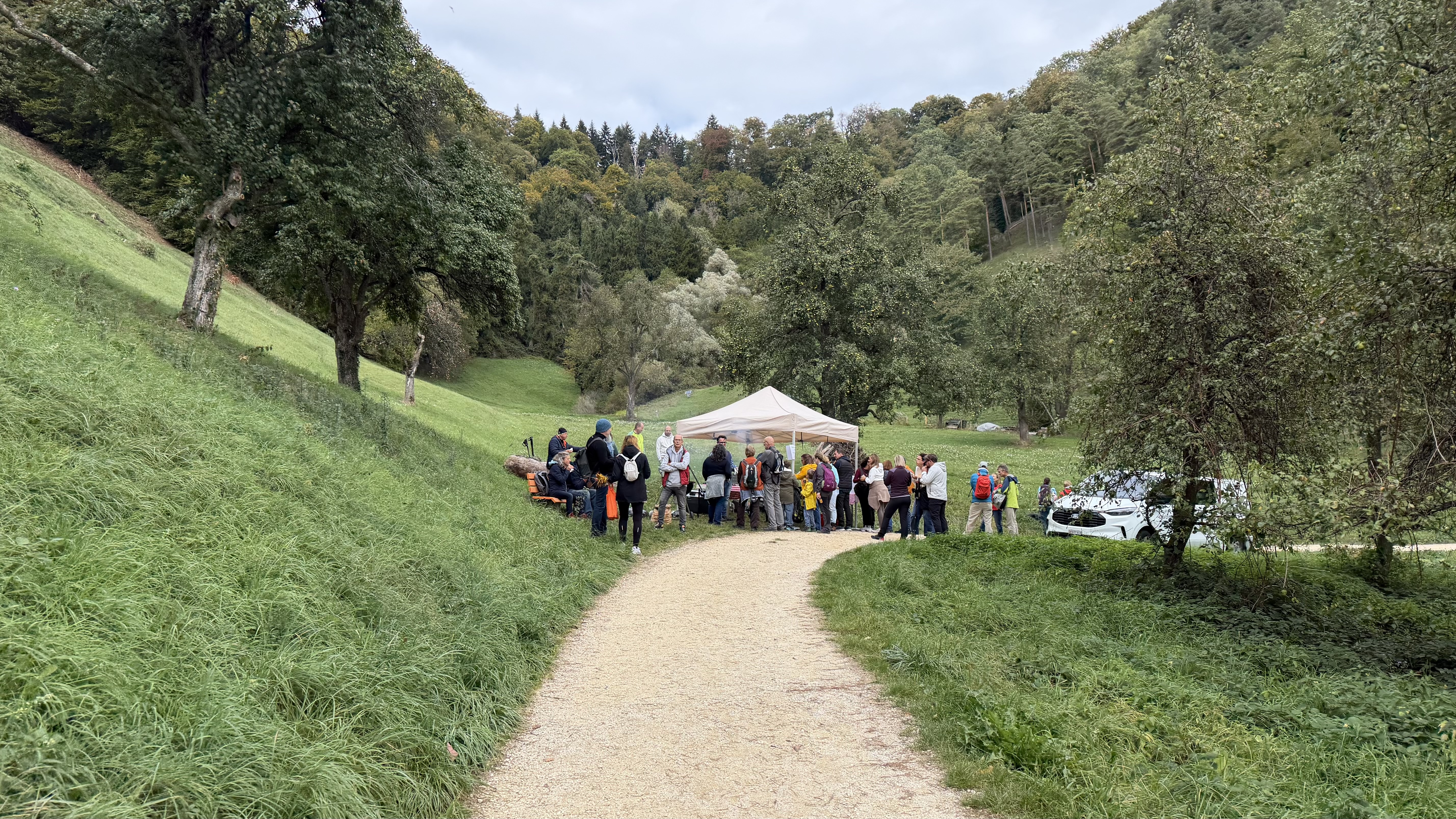 Genusswandern auf dem SeeGang